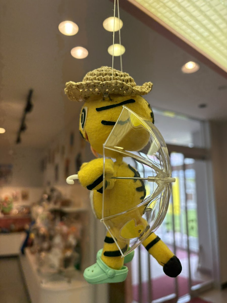 toramaruPL's tweet photo. 2026/6/9(火)おやすみやで〜☂️ https://t.co/SHIugd3jOO