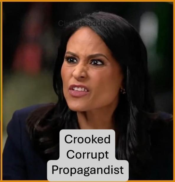 alyspy715's tweet photo. @RealJamesWoods The only reason President Trump and team would agree to interview is to prove how vile she and she took the bait! He played her like a violin. https://t.co/dD44UF4rZA