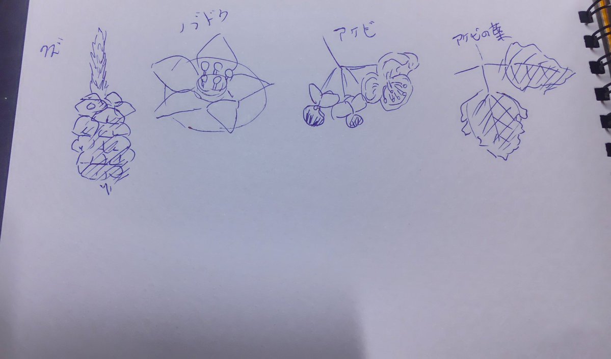 TADASU_fire's tweet photo. 人を待つ間に描いたいろいろなスケッチ。
つる植物の花の形は多彩。 https://t.co/DWwVA0qbEc