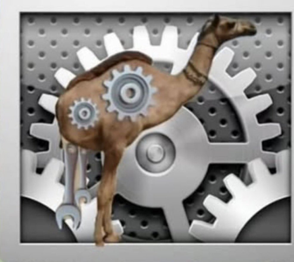 settings camel tweet media