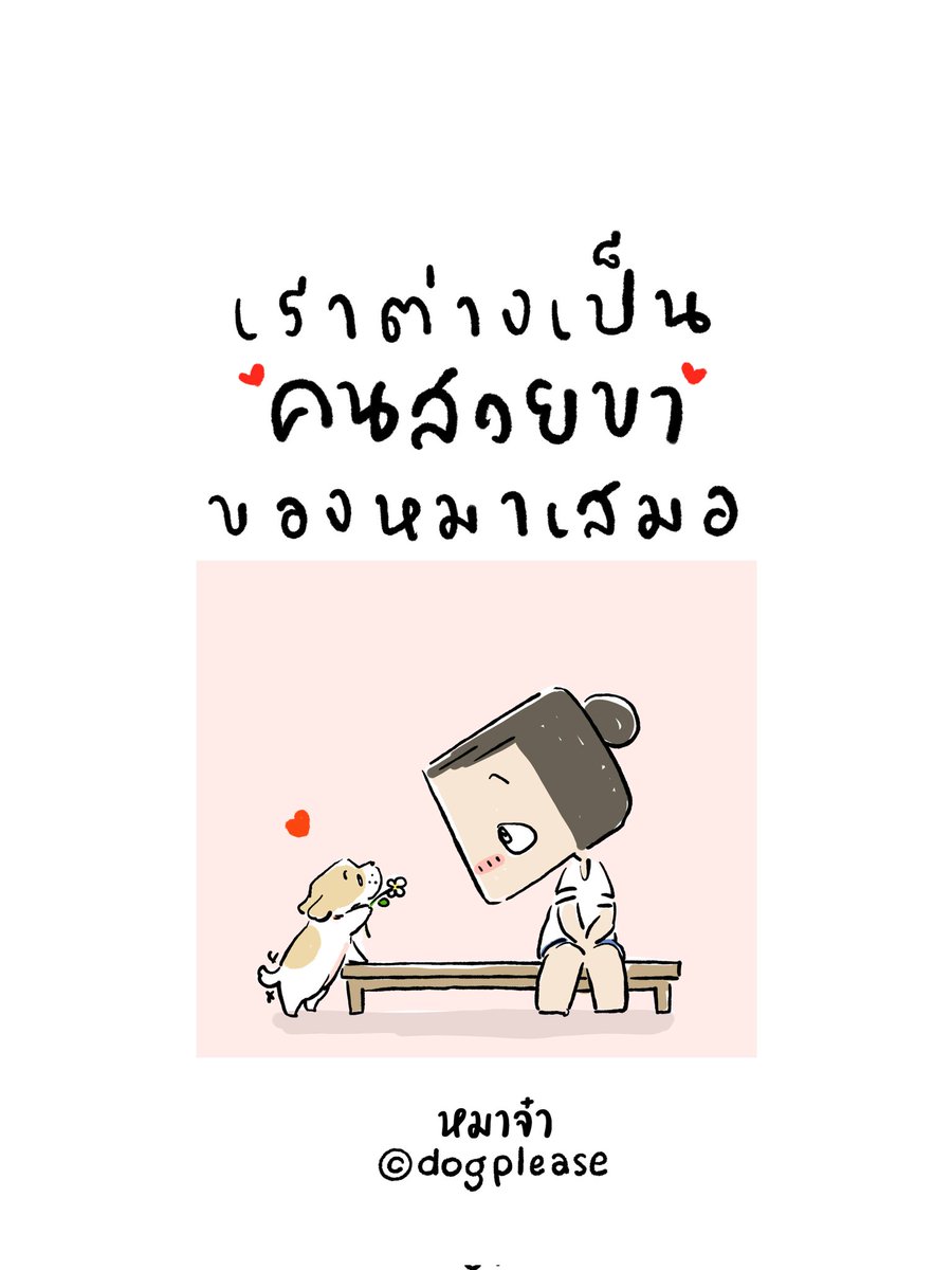 dogplease2013's tweet photo. https://t.co/xORYkmh5Cr