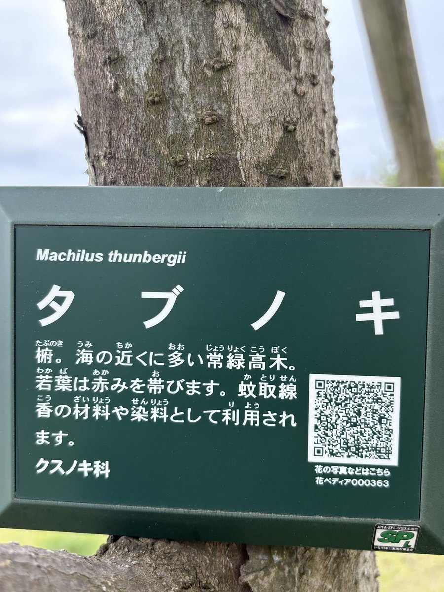 ほくなな/漢検1級チャレンジャー兼胃がんサバイバー tweet media