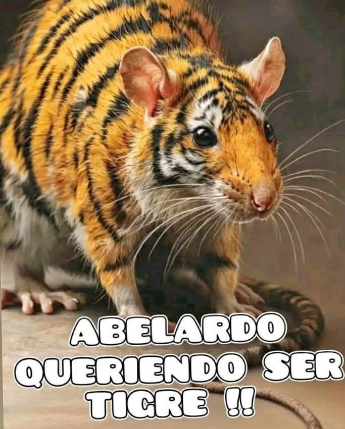 XPost1A's tweet photo. Abelardo de la Espriella. La rata que finje ser un tigre. https://t.co/iJV6ffZPBp