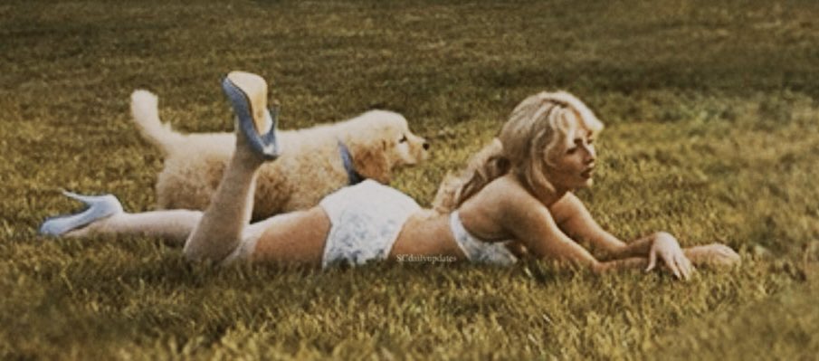 ⁣ ‍ ⁣ ‍ cilla tweet media