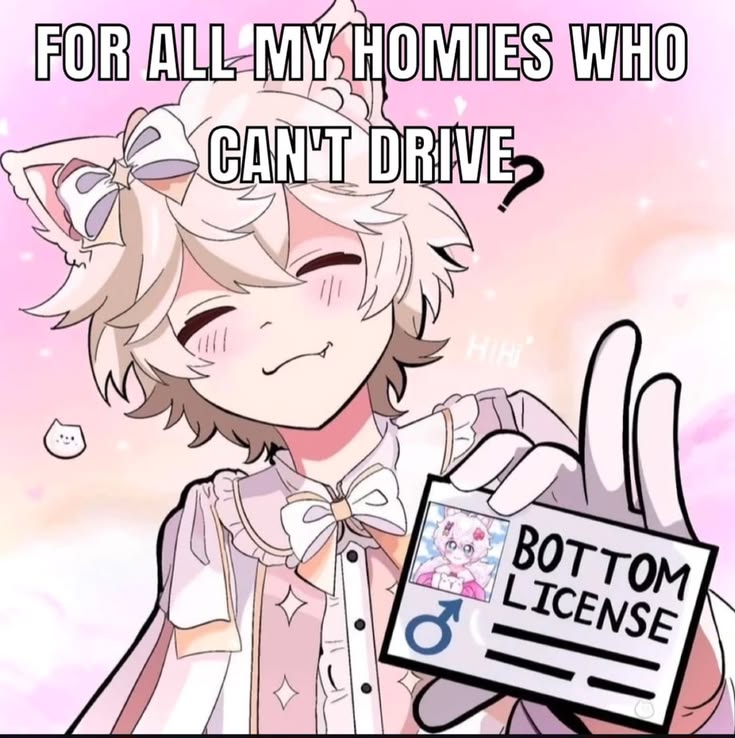 v4neko's tweet photo. My friend's driver's licence lessons are taking soo long. When will he get it? When do I get to be the passenger princess too?!!💢 https://t.co/fkgZDRObUQ