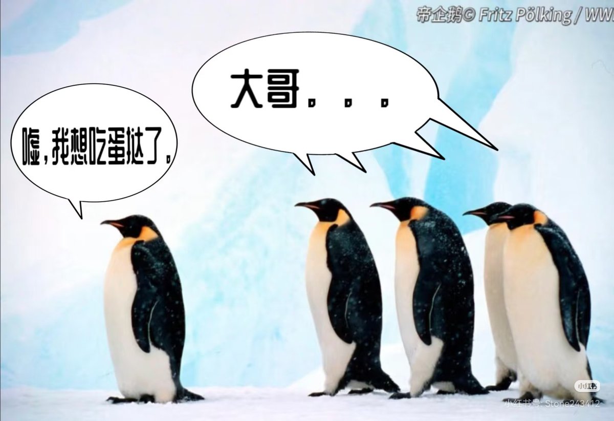 90Zebra0213's tweet photo. https://t.co/xf9NJSoNjg