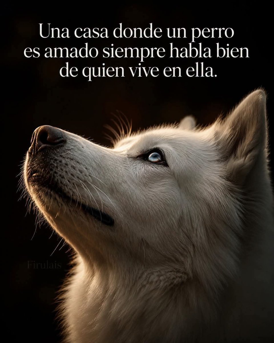 GRamirezF_D12's tweet photo. Buenas noches ✨💖 https://t.co/jZnLuKGpbo
