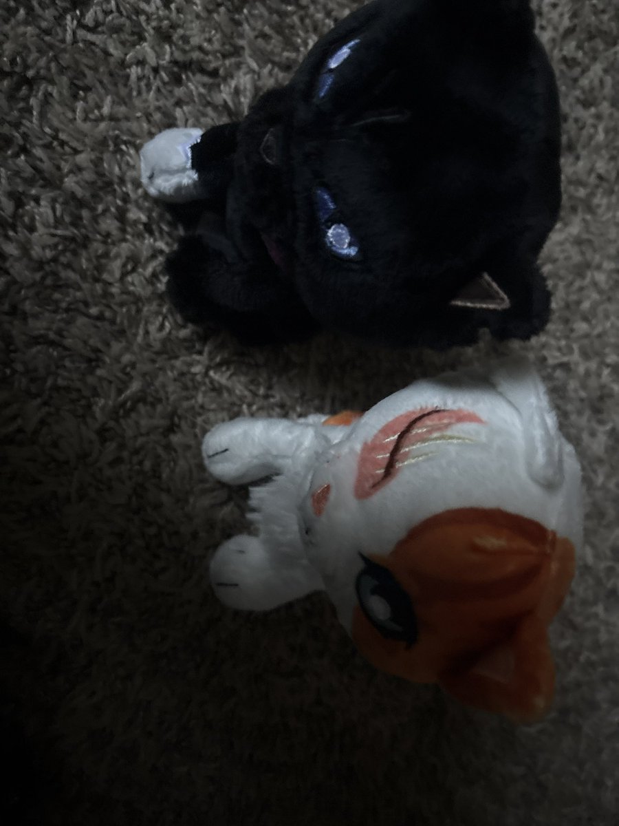 emmkitt's tweet photo. went to the store cause warrior blind box restock finally and i said i wanted either scourge or brightheart. guess which ones i got. 
dyde why does the photo have horror movie lgihting im so sorry i live underground https://t.co/kp3eeCjw3H