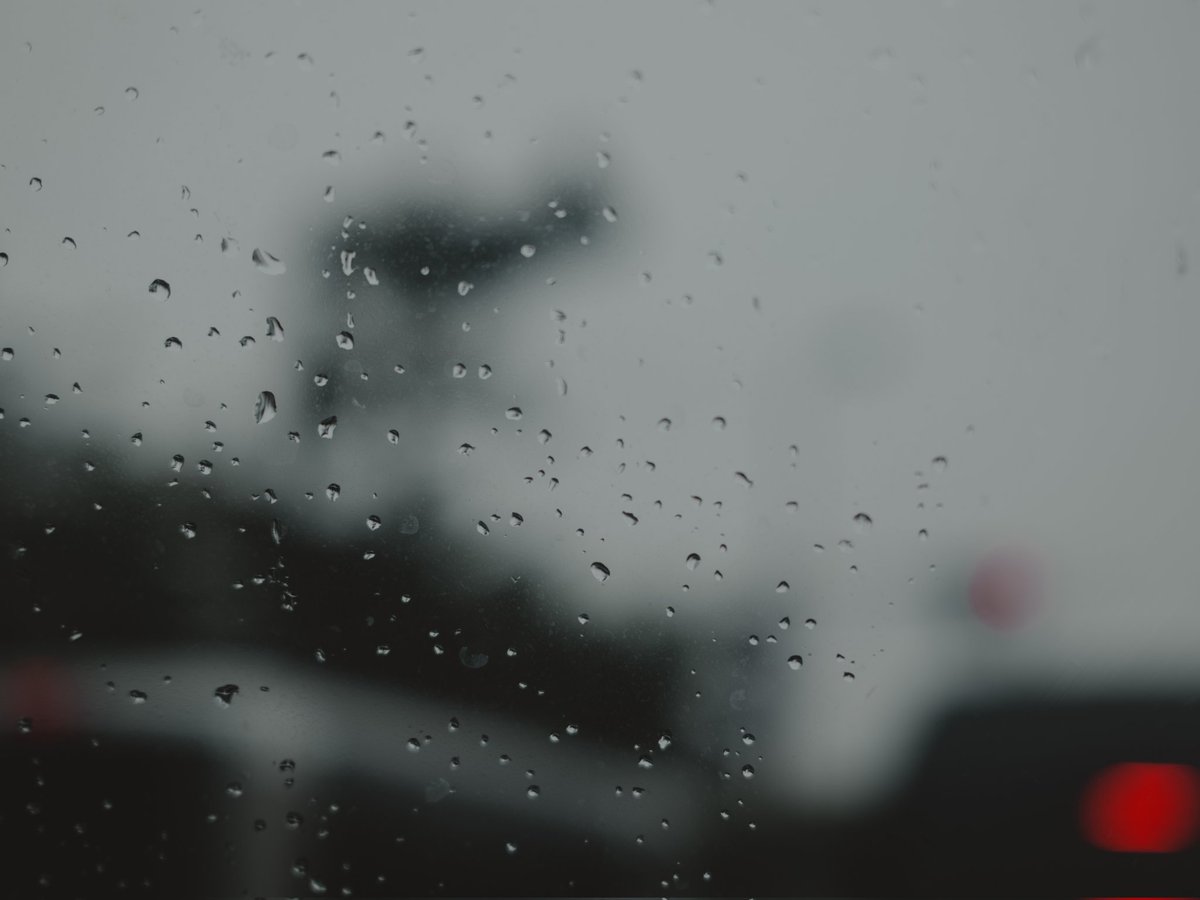 f0xsenpai's tweet photo. nothing but rainy day vibes☔ https://t.co/l8dStDzAWS