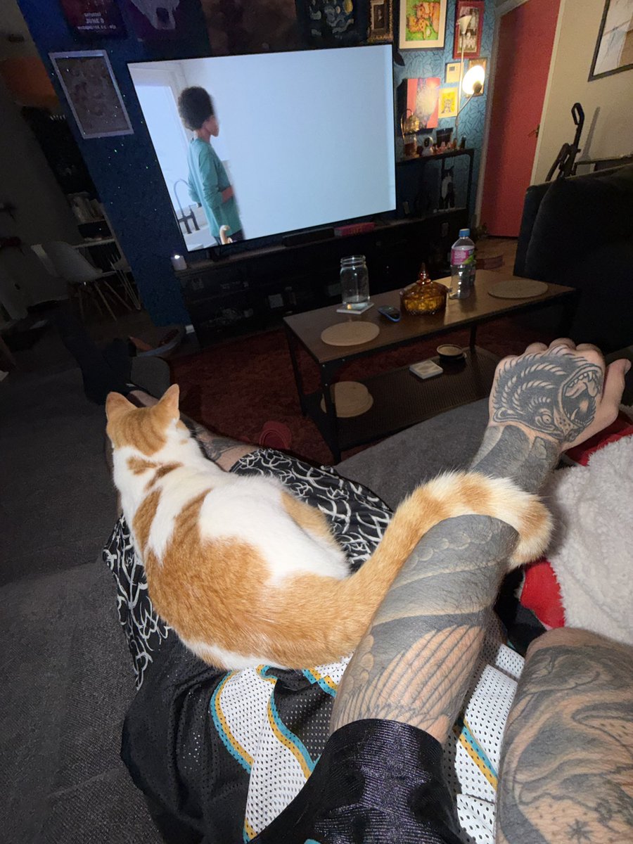 milkinhisbag's tweet photo. whenever blade runner lays with me he wraps his tail around my wrist and i wanna cry everytime https://t.co/zVHspsKtjA