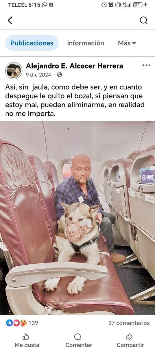 Q7Angels's tweet photo. @SalvemosABenito @Target184 Ojalá le vaya bien a la perra porque el dueño ha hecho publicaciones muy cuestionables https://t.co/535CkIsrfB