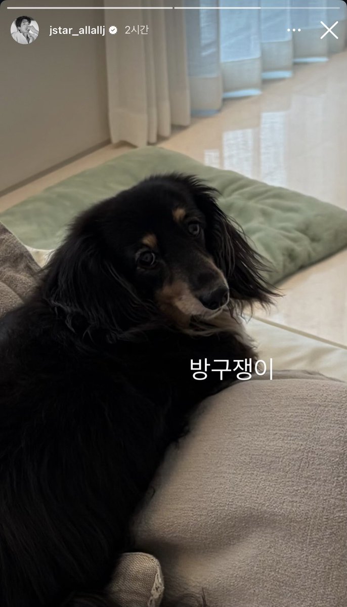c11hl's tweet photo. 이런 스토리 올릴 거면 방구 뀌는 영상도 같이 올려주셈 https://t.co/wUm8FWwPnm