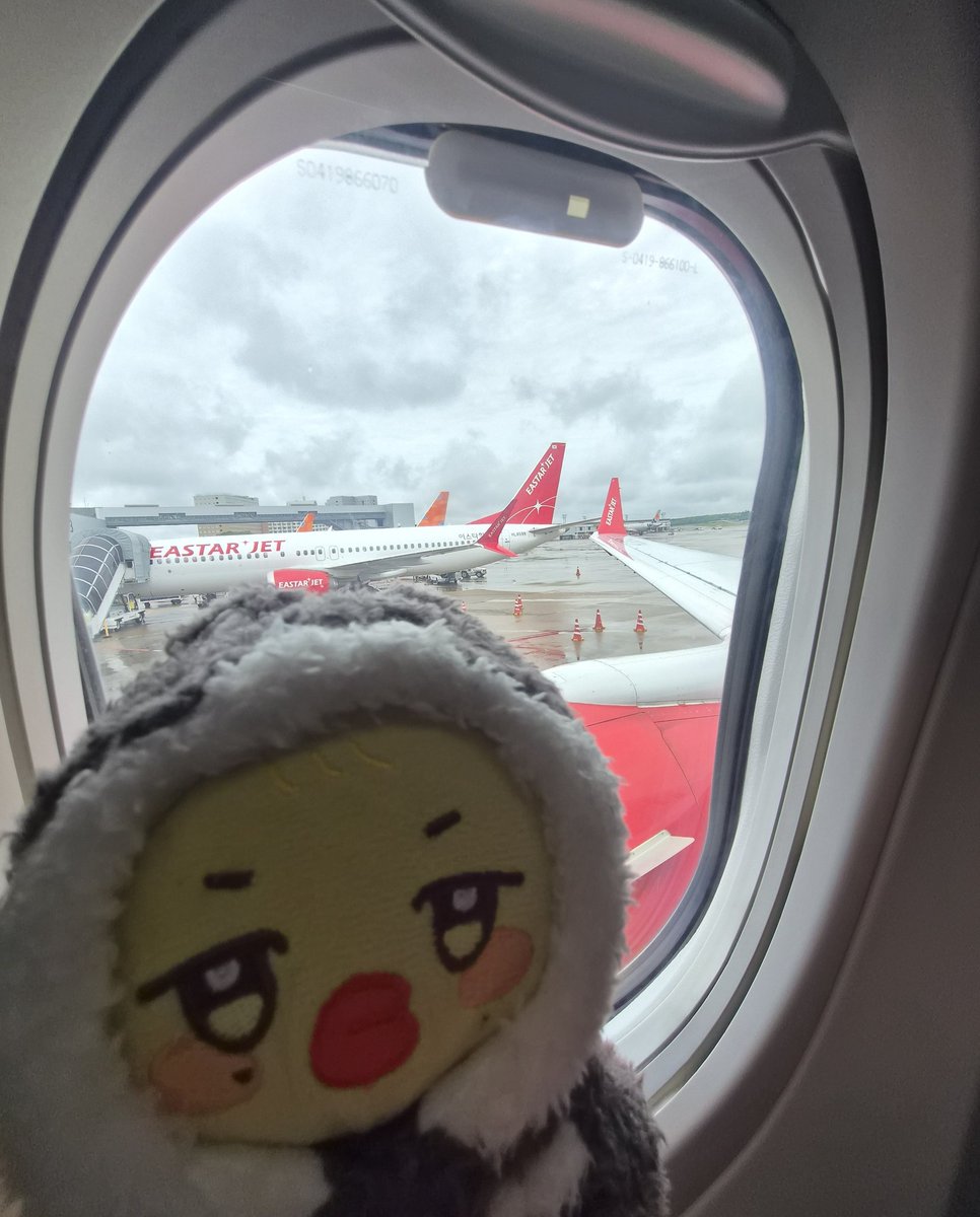 Az_mint112's tweet photo. 🐥の国へ✈️
リュックひとつで24時間滞在の弾丸 https://t.co/Qzn1RET3K8