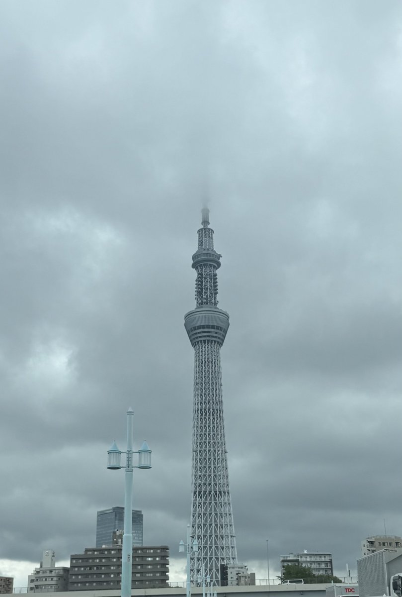hanelutejun tweet picture
