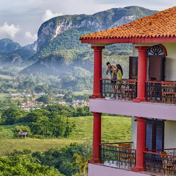 MinturCuba's tweet photo. ✨ Aventuras en Viñales: un paraíso natural donde cada experiencia se siente única. 🍽️ Sabores criollos, ❤️ escapadas románticas, 🚴‍♂️ rutas en bici y 🏨hospedajes rodeados de verde. Descubre un destino que enamora.🌄🌿

 #CubaTravel #CubaUnica #PinarDelRíoTravel   #CubaQuierePaz https://t.co/ppyqJ62I6k