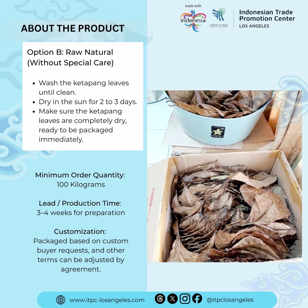 ITPCLosAngeles's tweet photo. Specializing in high-quality dried Catappa leaves,PT Sepyan Catappa Borneo supplies natural water conditioners and botanical treatments for global aquaculture and aquarium trade needs.
📧 sepyancatappaborneo@gmail.com
*)T&C Apply
#Indonesia #AquacultureSupply #BotanicalExport https://t.co/viniY8hFLV