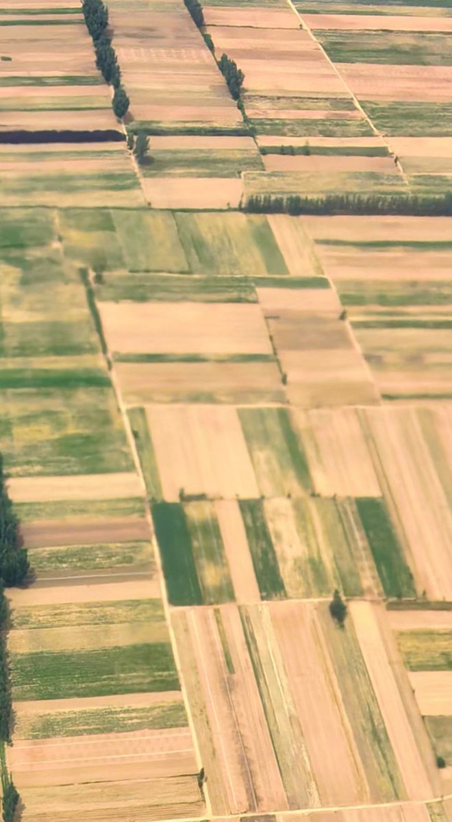 liuyanghe2024's tweet photo. 一块块麦田，像大地的调色板。Fields of wheat stretch out like an artist's palette on the earth.
#美图 https://t.co/9TjhSBvt33
