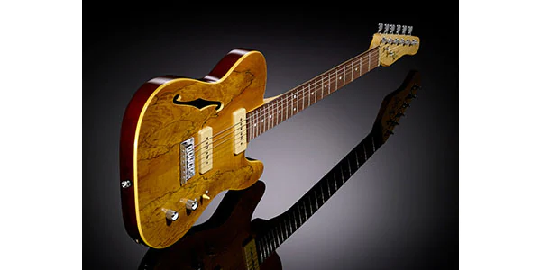 SALE🌟 Michael Kelly Guitars ( マイケルケリーギターズ ) / Ele Gtr