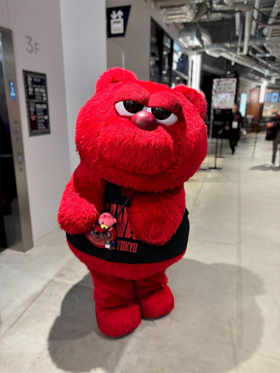 RunA1ive15's tweet photo. 何をしてても可愛いルーク🥰
#アルバルク東京 #ルークの日 https://t.co/3Myy6sv5Yj