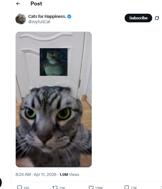 desvandev's tweet photo. THIS CAT WILL BE THE NEXT ANIMAL NARRATIVE FOR USDC META.

There is a new cat that is going super viral on X rn
Tai Lung

大龙 is his name (Dalong), Inspired by Tail Lung.

Everyone is saying this cat looks like Tai Lung from Kung Fu Panda and is a new zazu type meme template

Almost a million views in just a few hours