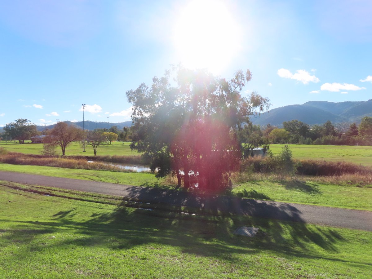 wapple15's tweet photo. A #DuckReport from the weekend in Tamworth NSW https://t.co/FtWPZpO0lA