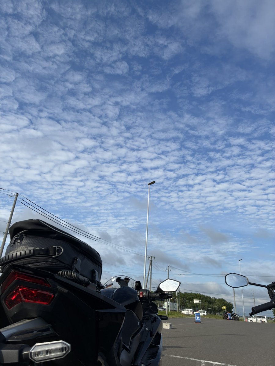 pan250rr's tweet photo. 日曜、当別普段立ち寄らないのに寄ったらSayちゃん見付けてくれてラッキー✨️
えくぼもめんこくて♡癒し✨️

ケールは生でシーザードレッシング合うよと店員さんに聞いて早速作った！空芯菜はいつもの食べ方で栄養価満点野菜達なのに、辛ラーメン油そばと食べて良いんだか？🤣愛しいパンたち🍞✨️ https://t.co/BnsLkpU5Ti