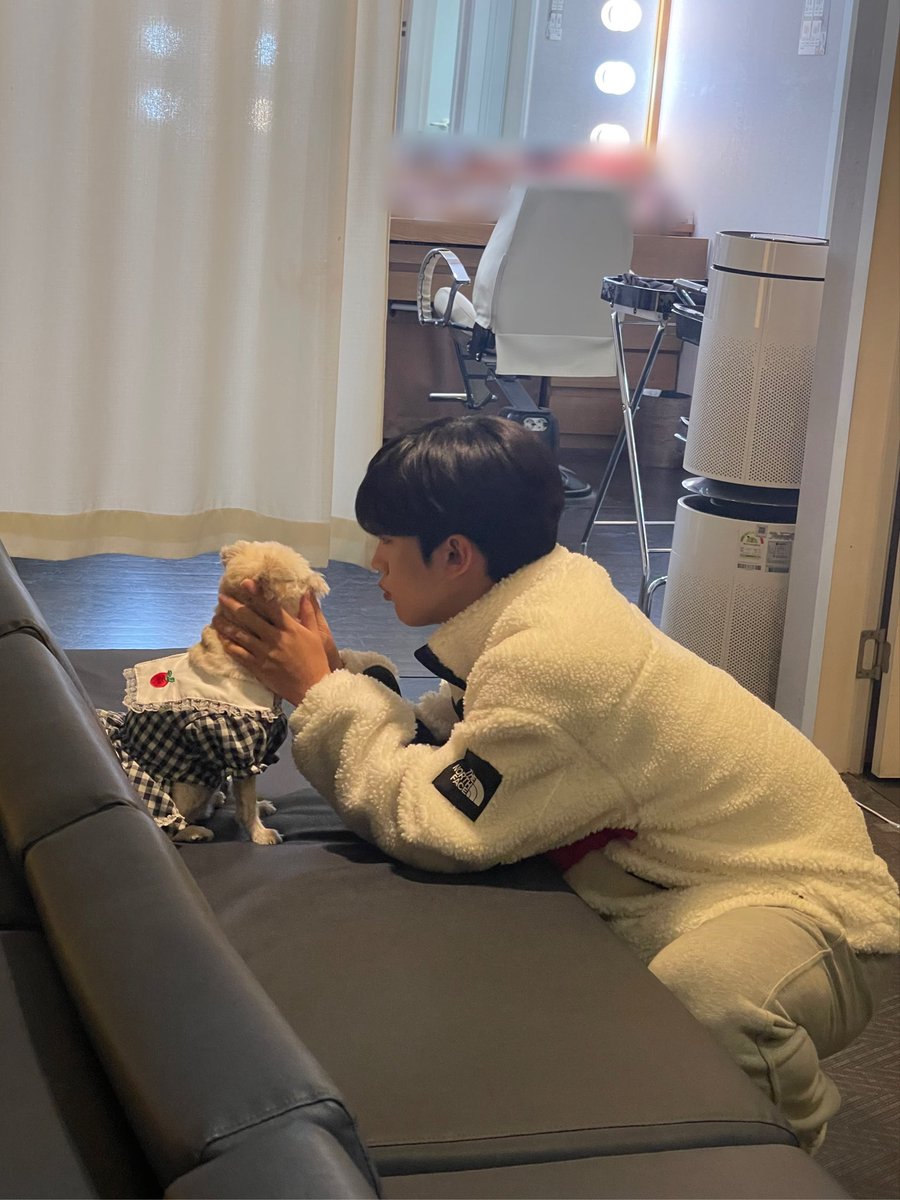 _kingod's tweet photo. 강아디가 두마리면 귀여움이 ✌🏻배 💕 https://t.co/FtgAbzkopY