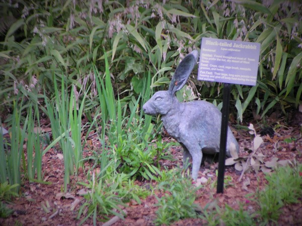 TakeSumE's tweet photo. @Hoosiers1986 Arboretum Bunny.

#MondayMania https://t.co/OOBfOMP1dK