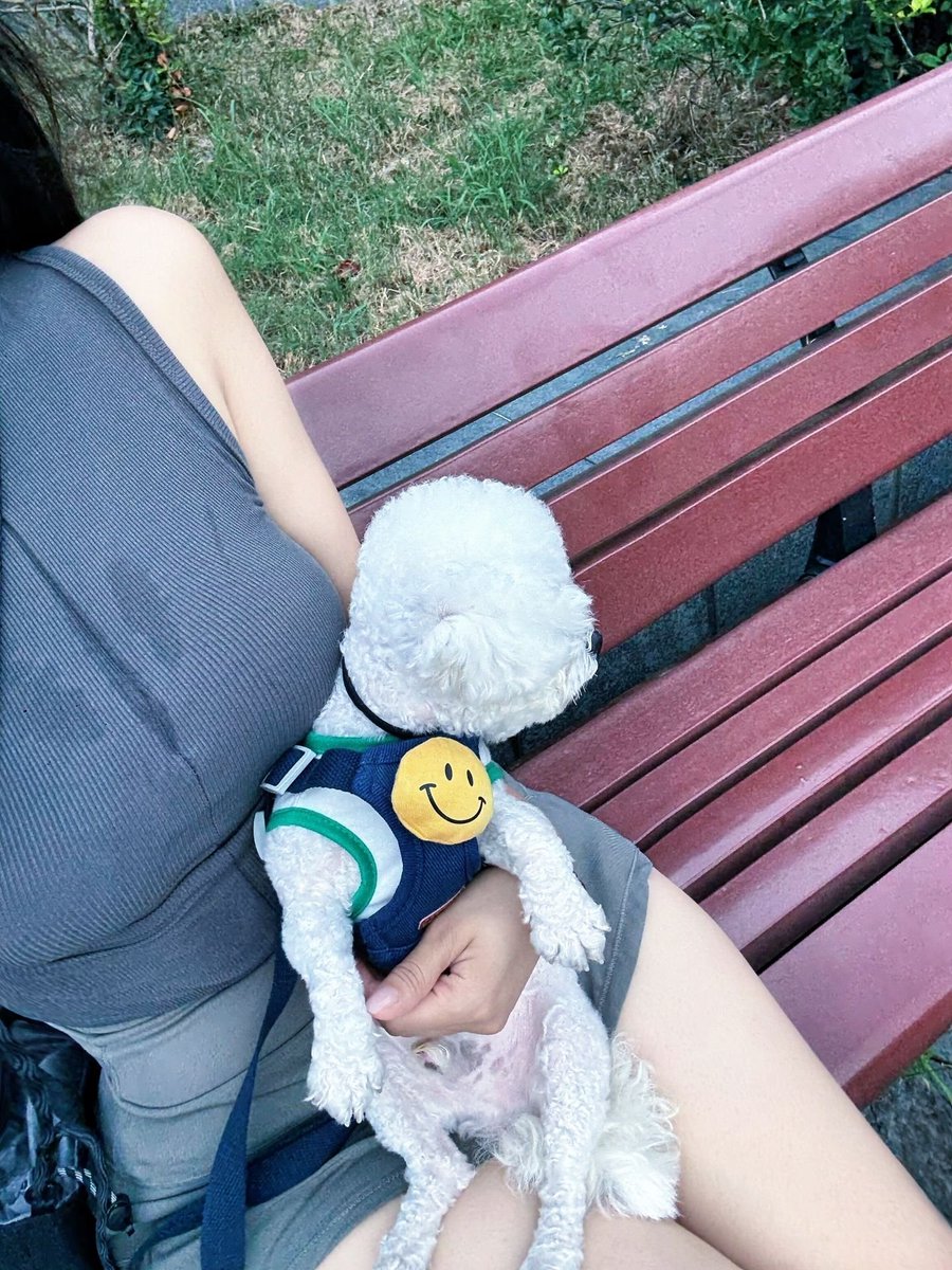 eretax's tweet photo. #광주 #몸매 #ootd https://t.co/nBheHIt3Pj