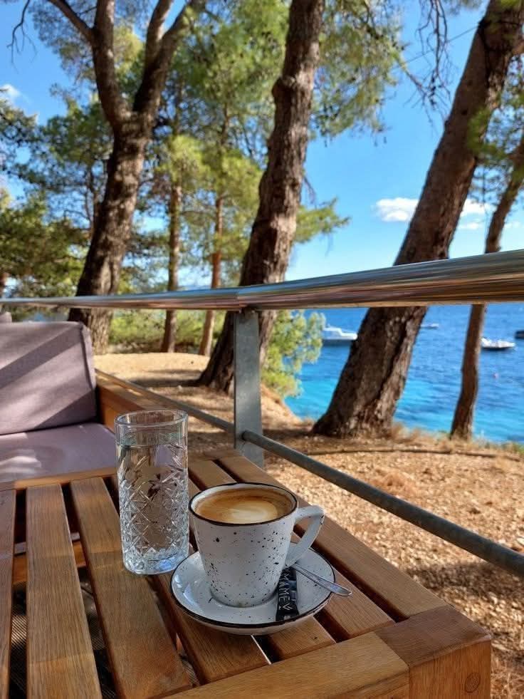SotiSotiriu's tweet photo. Καλημέρα 🙋‍♂️☕️
Όμορφη Τρίτη να έχουμε όλοι μας 🫶🫶🫶 https://t.co/ryIP7hhNnq