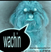SolidTrapi's tweet photo. wachin't https://t.co/cctsZSnqAd