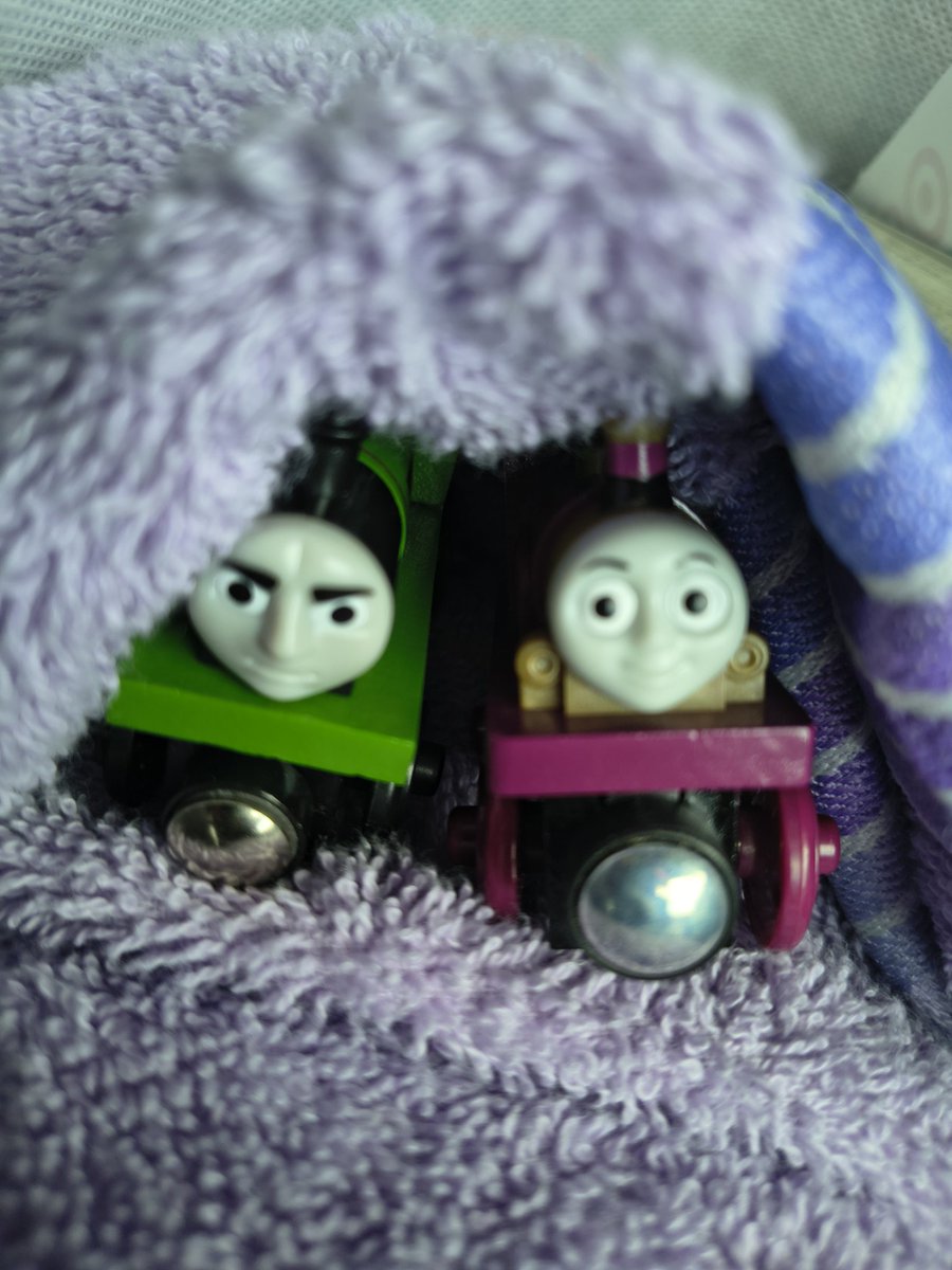 toasty_com's tweet photo. They went to the beach today. I kept them under the towel because it was hot. :] https://t.co/IO2TmE71Qv