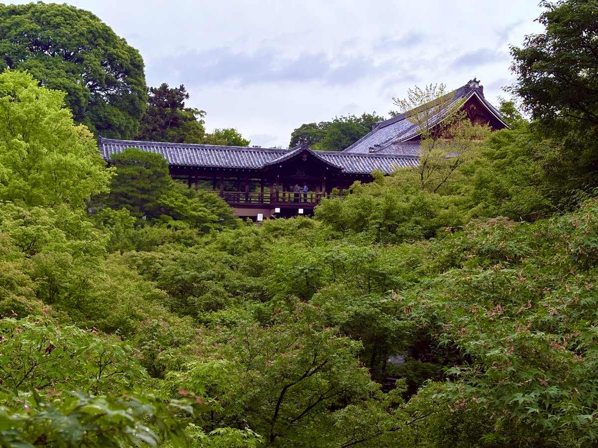 flor_enthus's tweet photo. Tofukuji temple. Famous for its foliage more than the architecture. https://t.co/KjaybNNBJR