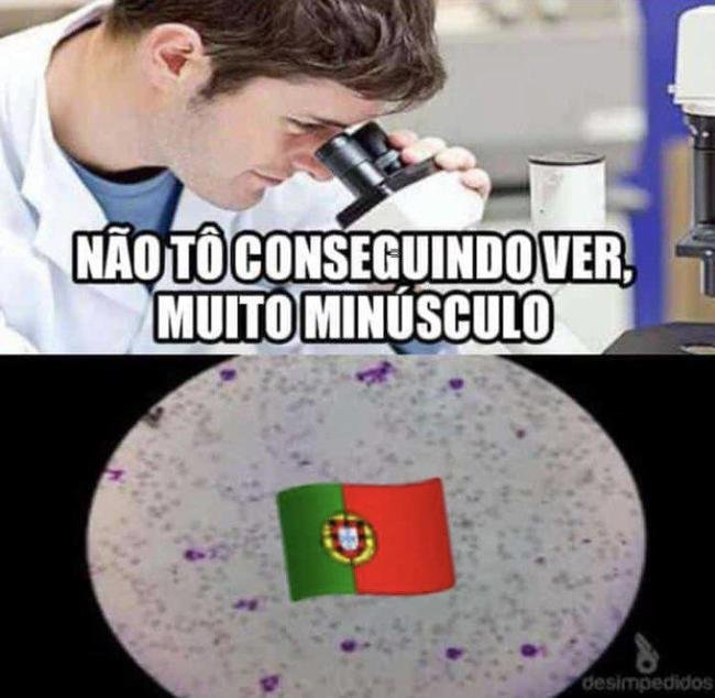 Spfcsinceridade's tweet photo. É tipo o palmeiras das seleções https://t.co/pkBjb0lPi7