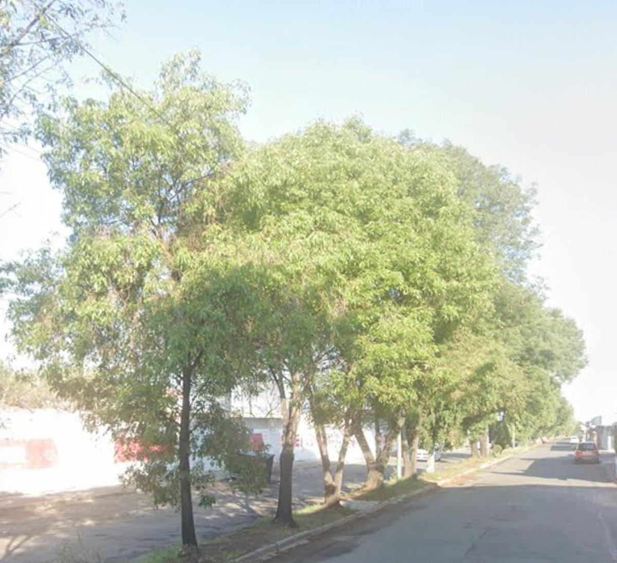 GuardabosqueUrb's tweet photo. Este es un recordatorio de que ninguna empresa se va a preocupar tanto por el medio ambiente en tu ciudad como lo harán las personas que viven en ella.
¡Organízate, habla con tus vecinos, participa!
No podemos permitir más ecocidios. #Puebla 
¡Cuestiona y no dejes de hacerlo!🧐🐿️ https://t.co/38UjUQY8Sx