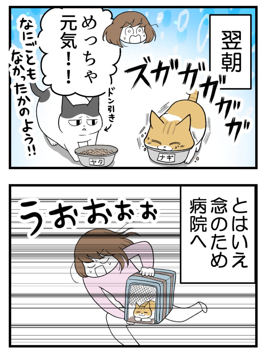 (2/3) 