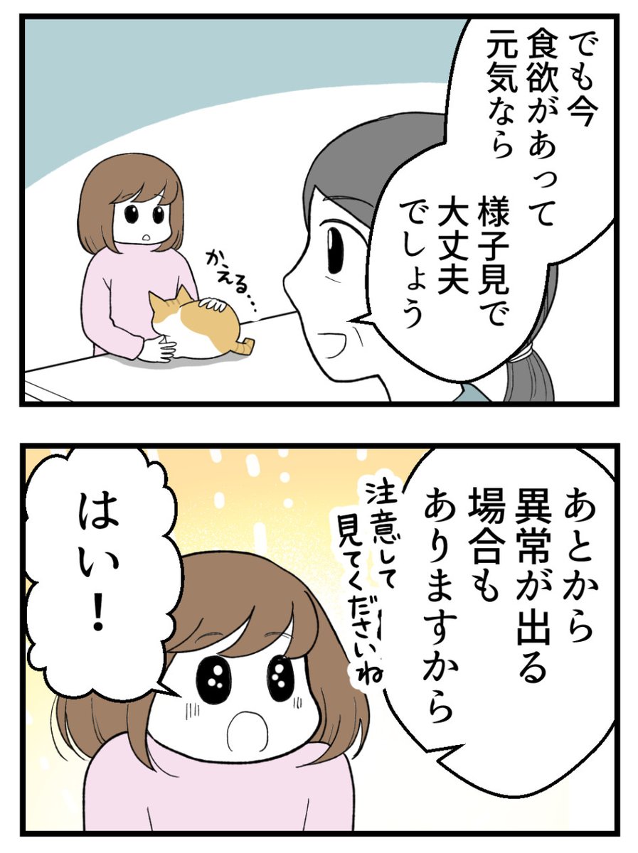 (3/3)最後まで読んでいただきありがとうございました! 