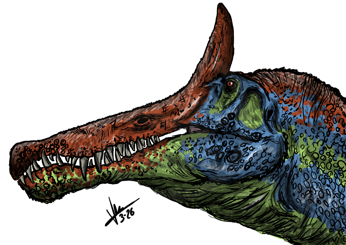 elultimosaurus's tweet photo. 🔁 half 2026 so far 🤷♂️ #spinosaurus #majungasaurus #carcharodontosaurus #allosaurus #paleoartist #paleoartisticdrawing #paleoartstudios #paleoartwork https://t.co/qJgcbTMd7d