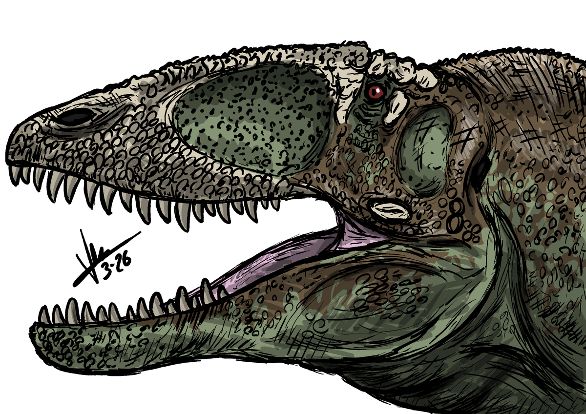 elultimosaurus's tweet photo. 🔁 half 2026 so far 🤷♂️ #spinosaurus #majungasaurus #carcharodontosaurus #allosaurus #paleoartist #paleoartisticdrawing #paleoartstudios #paleoartwork https://t.co/qJgcbTMd7d