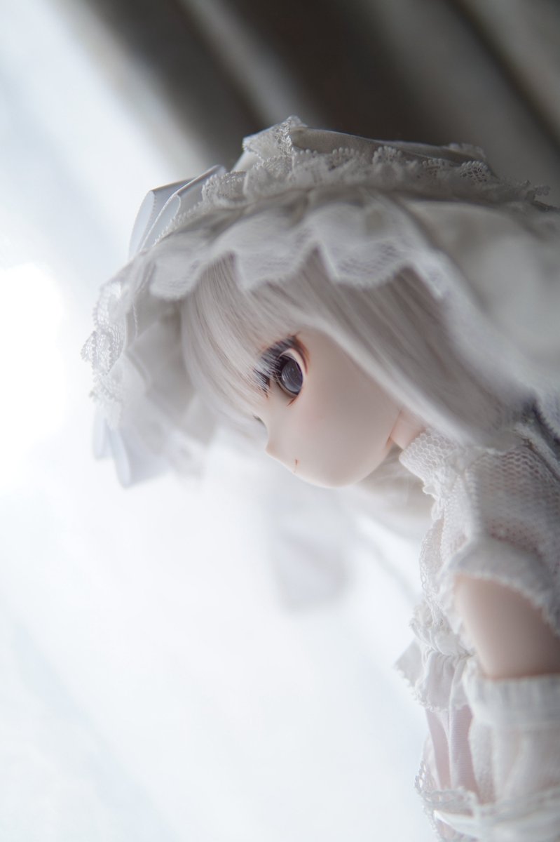 ai_FD1's tweet photo. お昼せっちゃん✨️ https://t.co/hnsD0JbRI3