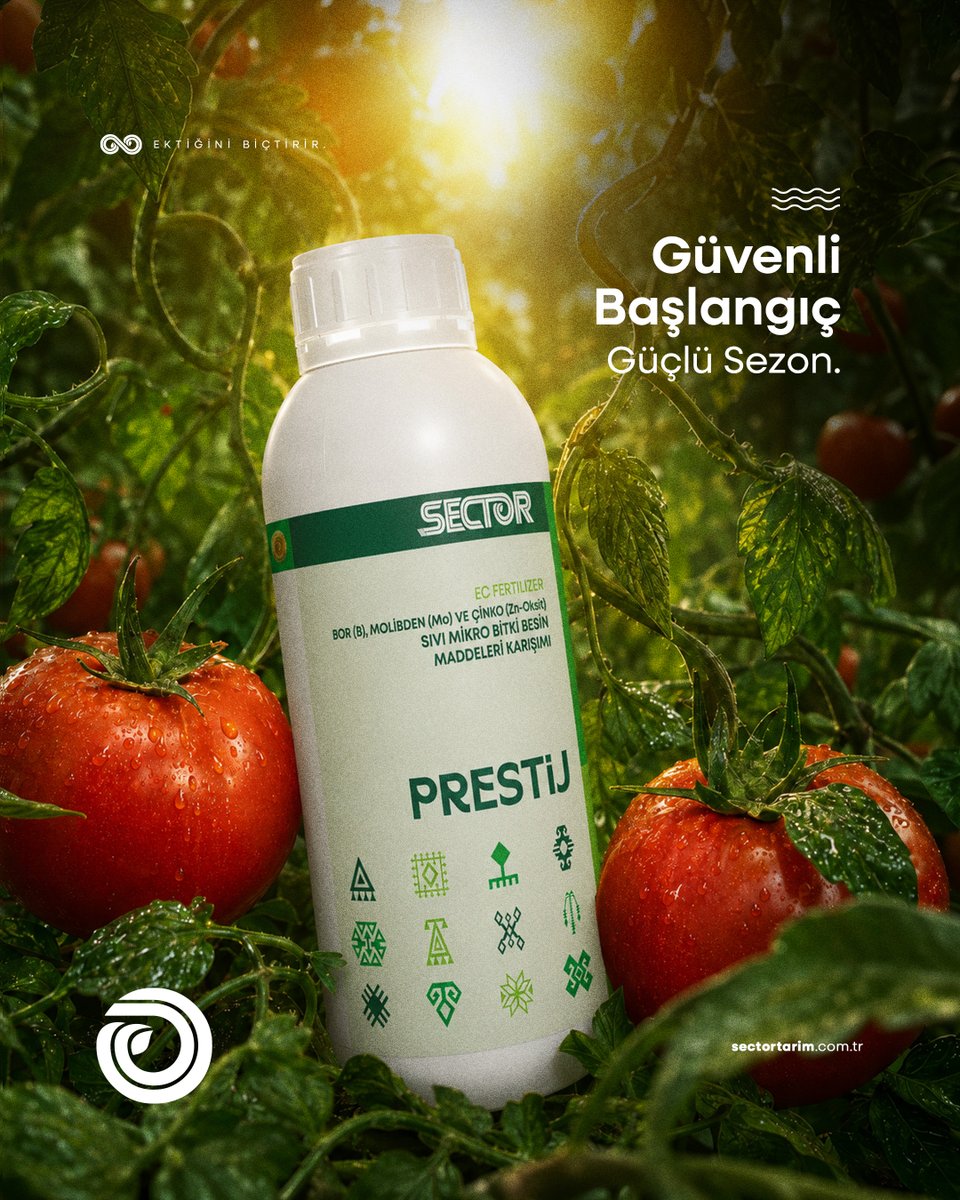 sectortr's tweet photo. Güven veren başlangıçlar, verimli sezonlara dönüşür.🍅

Trustworthy beginnings turn into productive season.🍅
.

💻https://t.co/gvEhYU27LA
📞 +90 444 1 283
📧info@sectortarim.com.tr
.
.
#sectortarım #sector #tarım #ziraiüretim #sectorglobal #ektiğinibiçtirir https://t.co/5aLHK5yL5R