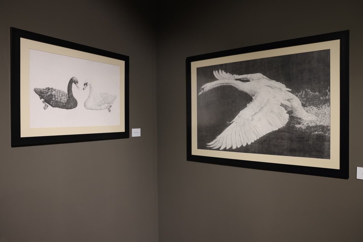 cankayaks's tweet photo. 🦢 Bir parkın hafızası, sanatın diliyle anlatılmaya devam ediyor.

🖌️Turan Erol Sanat Atölyemizin öğrencileri gözlemlerinden doğan “Kuğulu Hafızası” sergisi, Kuğulu Park’ın izlerini kâğıda taşıyan eserleriyle sanatseverleri bekliyor. ✨

🗓️ 14 Haziran’a kadar
⏰ 09.00–20.00
🎟️ Ücretsiz giriş
📍 Doğan Taşdelen Çağdaş Sanatlar Merkezi

#SanatınKalbiÇankaya #ankaraetkinlik #sergi