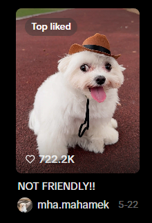 AxeIChat1111's tweet photo. Viral as fuck on Tiktok too!

4M+ Views

https://t.co/d3Ip1muLEE https://t.co/Dk0rTY2Kh9