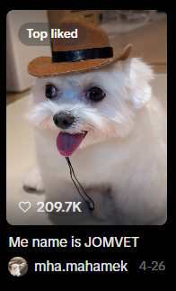AxeIChat1111's tweet photo. Viral as fuck on Tiktok too!

4M+ Views

https://t.co/d3Ip1muLEE https://t.co/Dk0rTY2Kh9