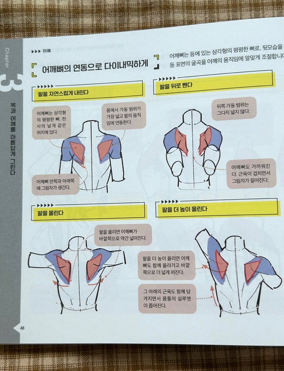 redyajasu's tweet photo. 📚후지타쿠-아름다운 인체 그리기 레슨 
인체 구조 공부와 함께 아름다운 인체에 대해 공부하고 싶으신 분들께 강력 추천 드리는 책입니다! 책은 초심자를 대상으로 크게 기본 인체 9파트로 구성 되어 있는데요, 가장 좋다고 느꼈던 부분은 기존의 다른 인체 책과 다르게, 책이 이해/연습/실전스탭으로 나누어져 있어서 초심자도 쉽게 이해하며 차근 차근 따라올 수 있다는 점 이었습니다. 또 드로잉 연습에 쓸 수 있는 디지털&인쇄용 일러스트 다운로드 데이터도 제공됩니다.  (1/2)