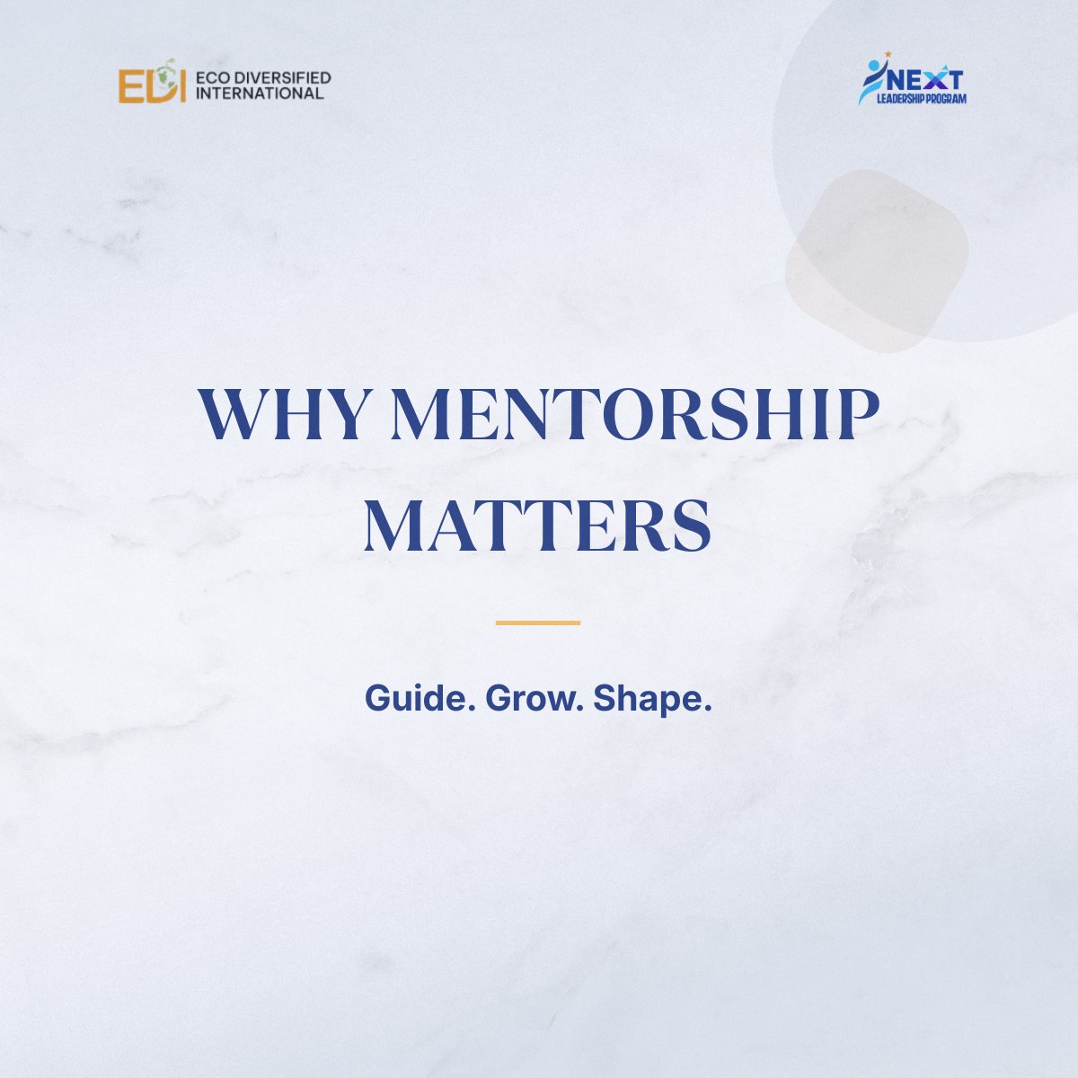 EcoNetworkNG's tweet photo. Mentorship is an important part of the fellowship experience.  Through mentorship, fellows gain guidance, feedback, and support from experienced professionals who help them grow personally and professionally. The conversations taking place today can shape the leaders they become. https://t.co/r18esKUcEI