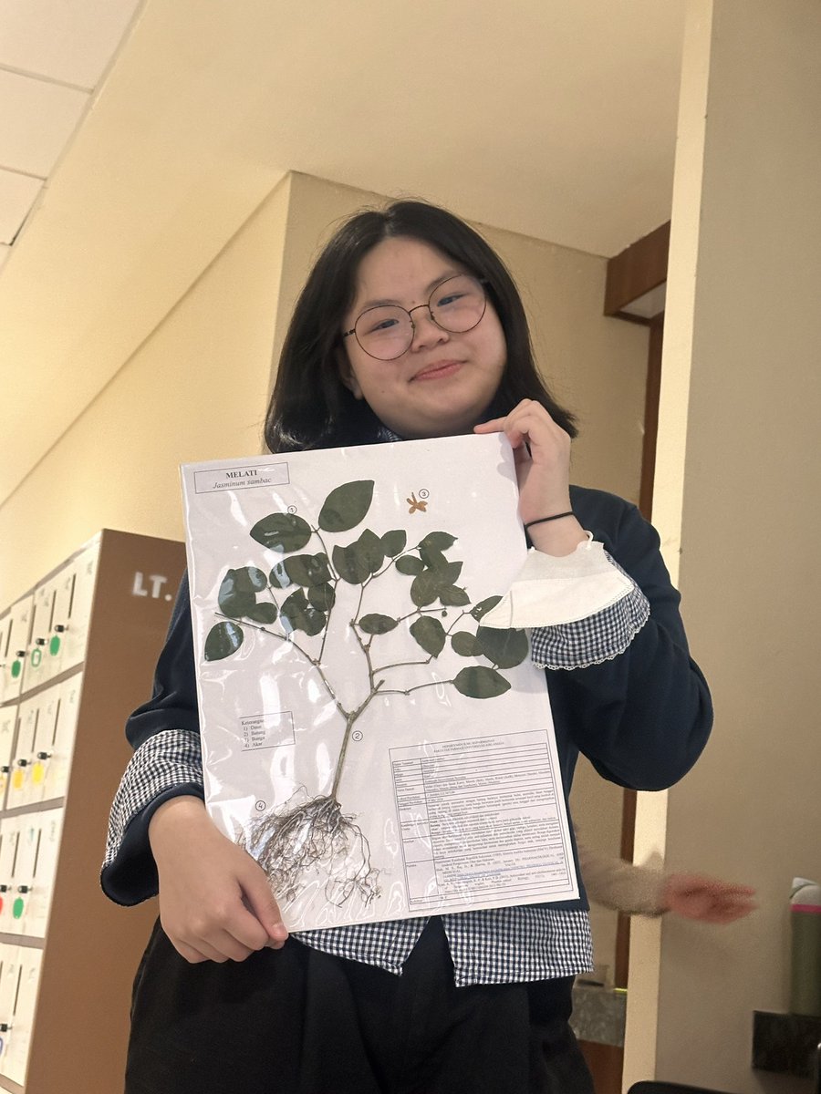 xiauwthings's tweet photo. wujud asli valencia velerie cp maba ffua26 (wts herbarium) https://t.co/tazwGWfXNp