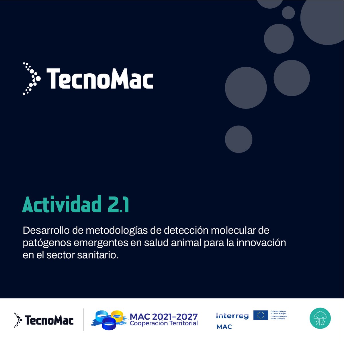 Tecno_Mac's tweet photo. 🧬 Desarrollo de metodologías de detección molecular aplicadas a patógenos emergentes en salud animal, con el objetivo de reforzar la innovación en el ámbito sanitario. https://t.co/vimET1tICw