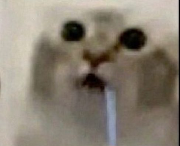 itsgintoki_'s tweet photo. this how it feels to take any decision in ur life https://t.co/OlRzmR8o6t