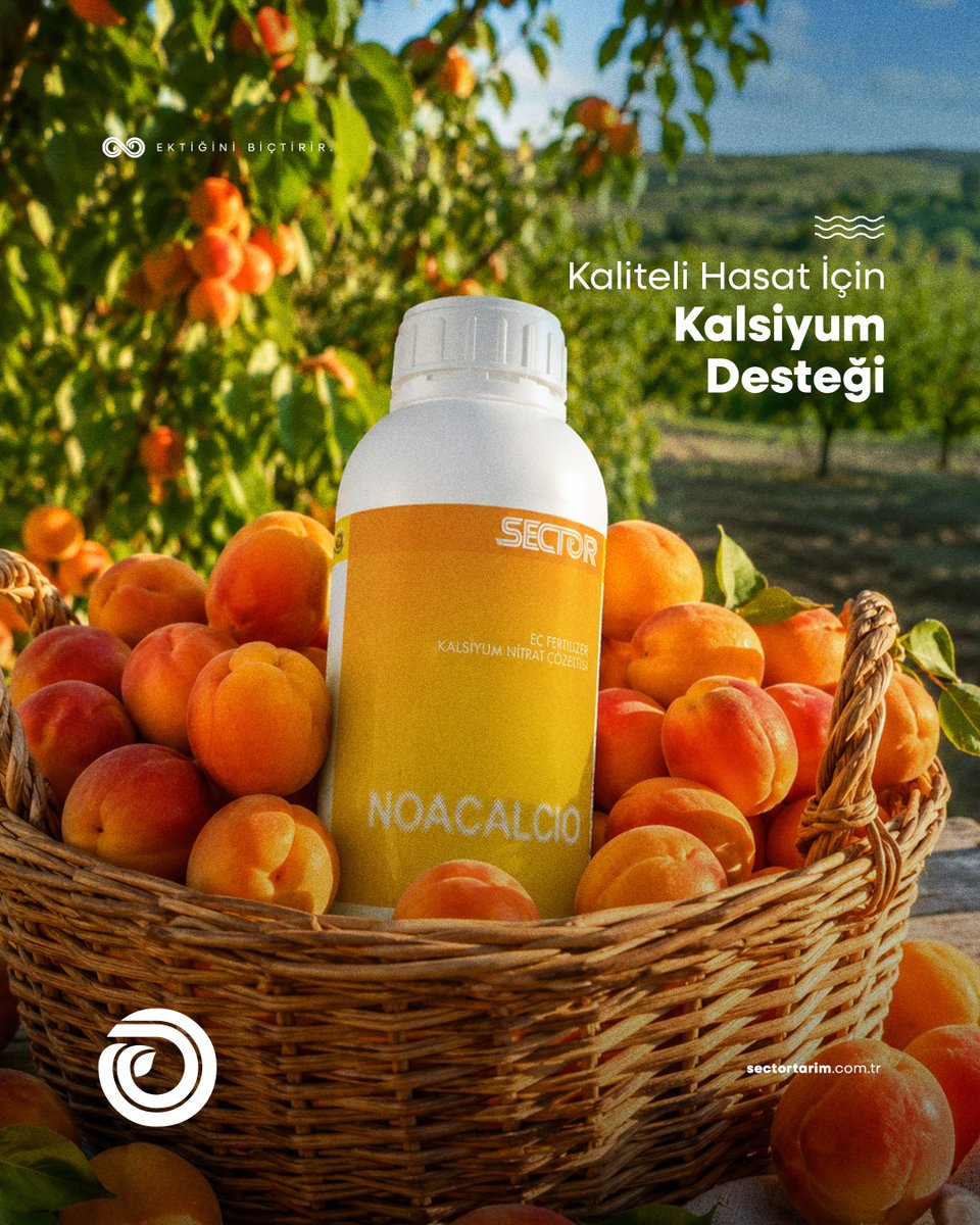 sectortr's tweet photo. Meyvenin doğal gücünü koruyan doğru destek. 

The right support that preserves the natural strength of the fruit.
.
.
💻https://t.co/gvEhYU27LA
📞 +90 444 1 283
📧info@sectortarim.com.tr
.
.
#sectortarım #sector #tarım #ziraiüretim #sectorglobal #ektiğinibiçtirir https://t.co/Ir6zz8m1r3